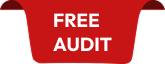 Free Audit
